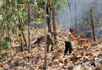 Babinsa Kodim Ponorogo dan Unsur Terkait Gerak Cepat Padamkan Kebakaran Hutan 