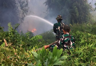 Satgas Irigasi Lanud Sjamsudin Noor Terus Perkuat Upaya Padamkan Karhutla Kalsel Optimalkan Air Hingga Dinginkan Lahan Gambut