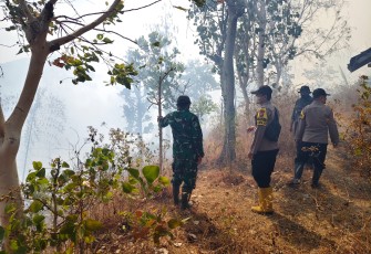 Hutan di Wilayah Binaan Terbakar, Babinsa Kodim Ponorogo dan Unsur Terkait Lakukan Pemadaman