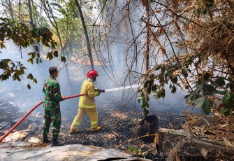 Babinsa dan Damkar Gerak Cepat Padamkan Kebakaran Lahan Jati di Dolopo