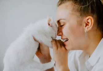 Kucing Menangis