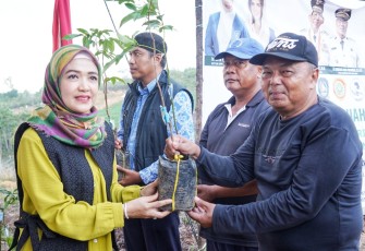 Badan Koordinasi Organisasi Wanita (BKOW) Provinsi Kepri membagikan 700 bibit tanaman perkebunan kepada Kelompok Tani Maju Jaya, Kampung Jawa, Cikolek, Toapaya Selatan, Kabupaten Bintan, Selasa (14/4/2026)