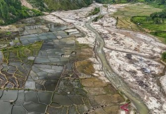 Ribuan Hektare Sawah Terdampak Bencana Mulai Ditanami Kembali 