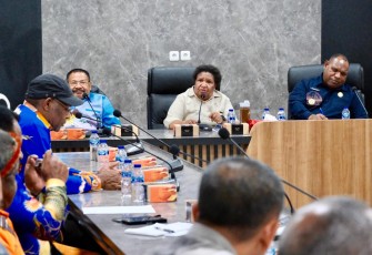 Wakil Menteri Dalam Negeri (Wamendagri) Ribka Haluk