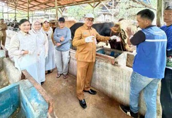 Ribuan Hewan Kurban Berlabel SL Dipastikan Sehat dan Aman