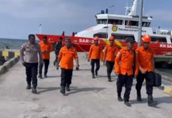 Tim Search and Rescue (SAR) Gabungan