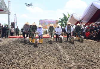Dirjen Tanaman Pangan Kementerian Pertanian, Panglima Kopassus Letjen TNI Djon Afriandi dan Forkopimda Blora beserta jajaran melakukan tanam jagung serentak kuartal II di kecamatan Randublatung Kabupaten Blora
