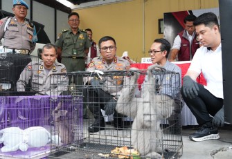 Barang Bukti saat diamankan