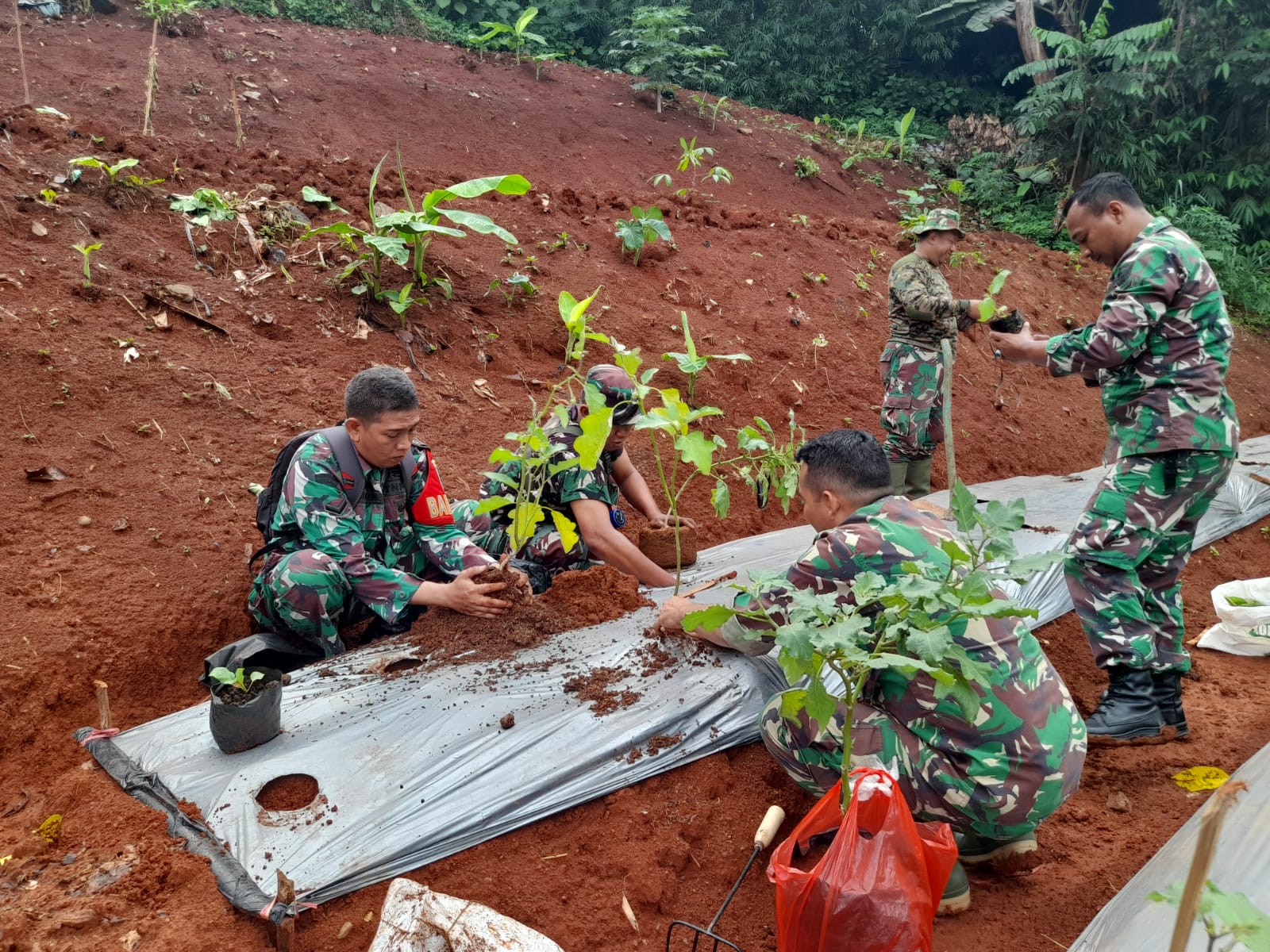 tni