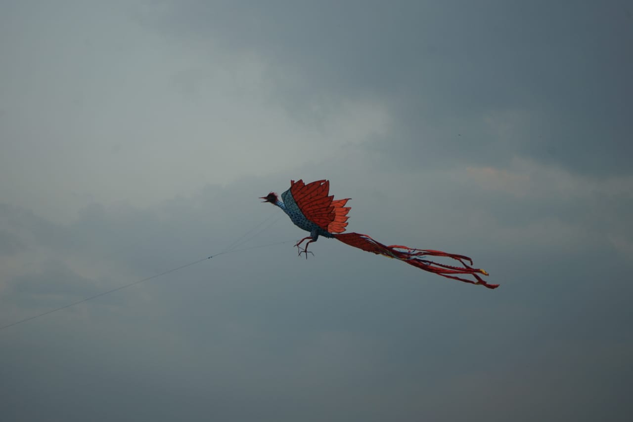 blora