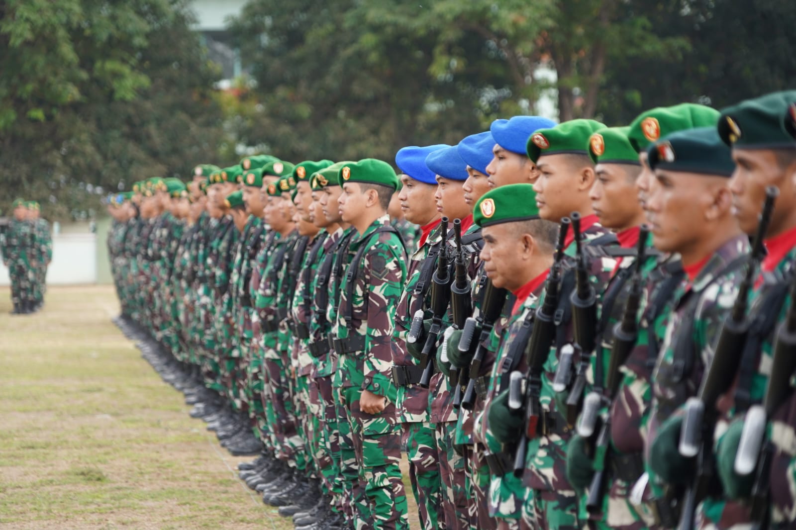 tni