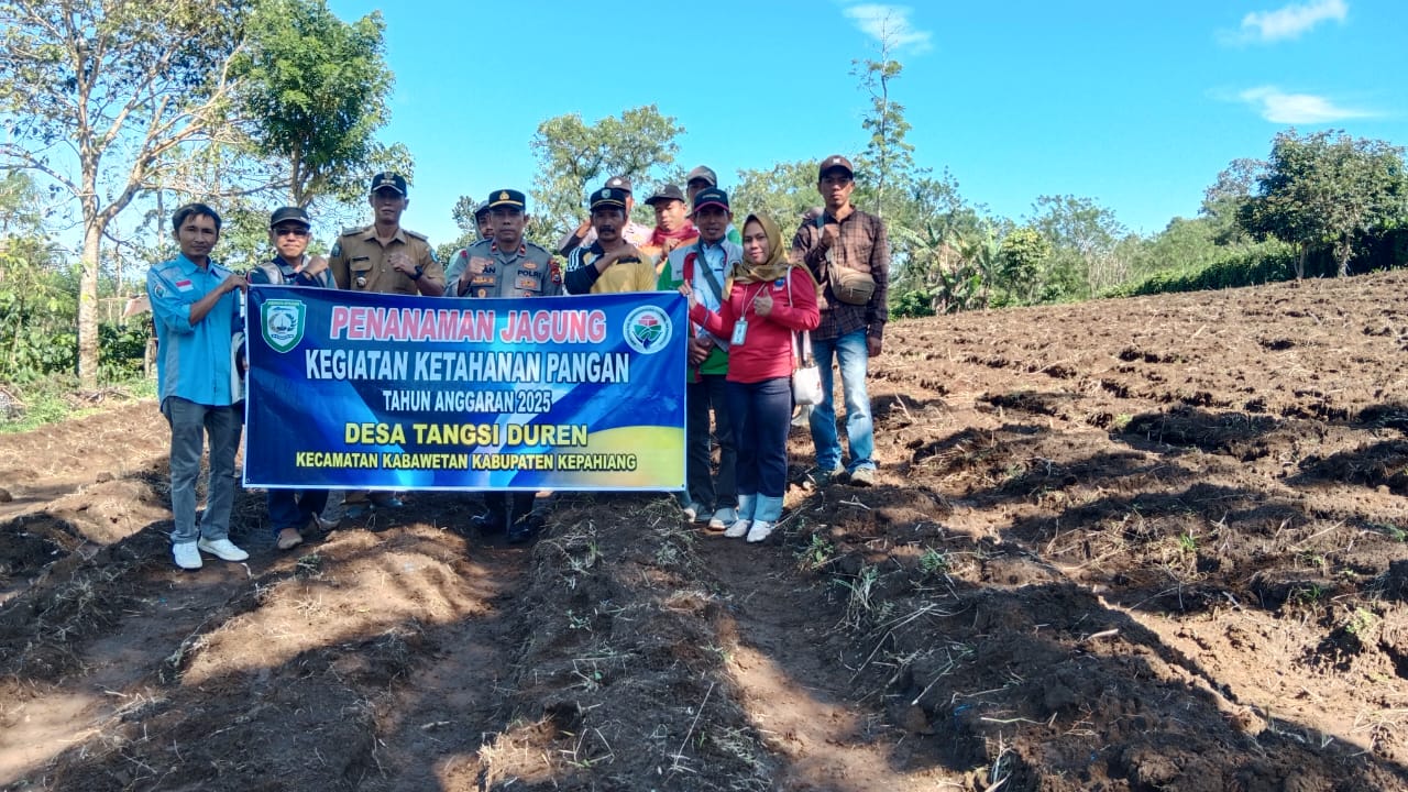 Pemdes Tangsi Duren Tanam Jagung Bersinergi TNI-Polri dan Pemkab Kepahiang