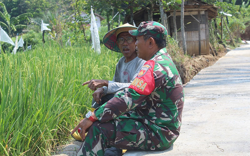 Menampung aspirasi masyarakat, Babinsa Serka Suryadi memaksimalkan komsos (komunikasi sosial) dengan petani Desa Bergas Kidul.