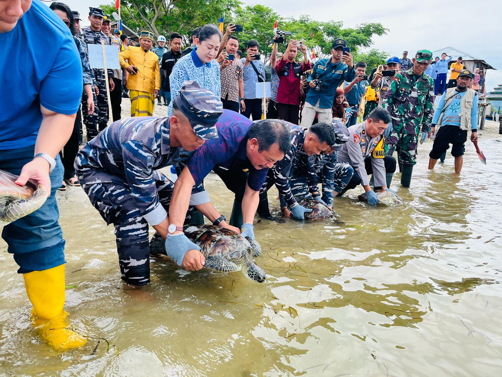 TNI AL