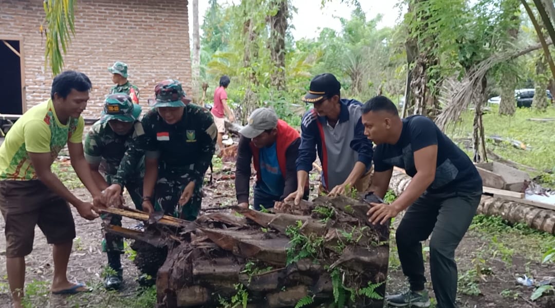tni
