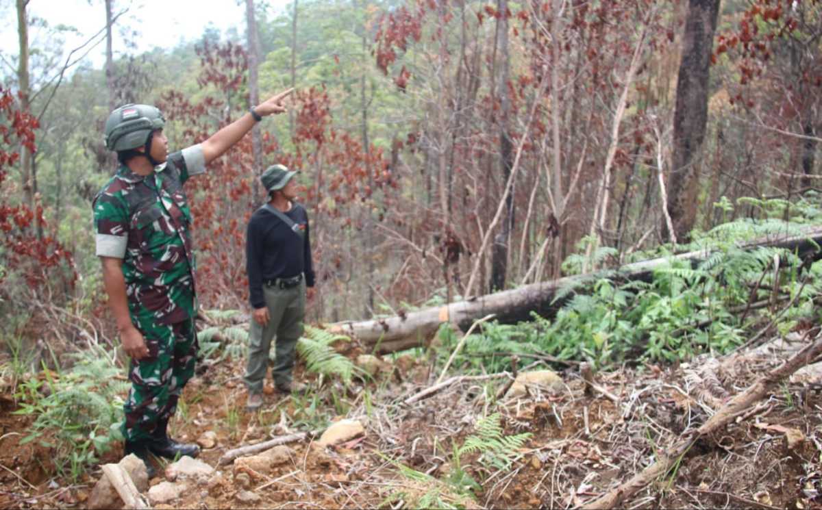 .