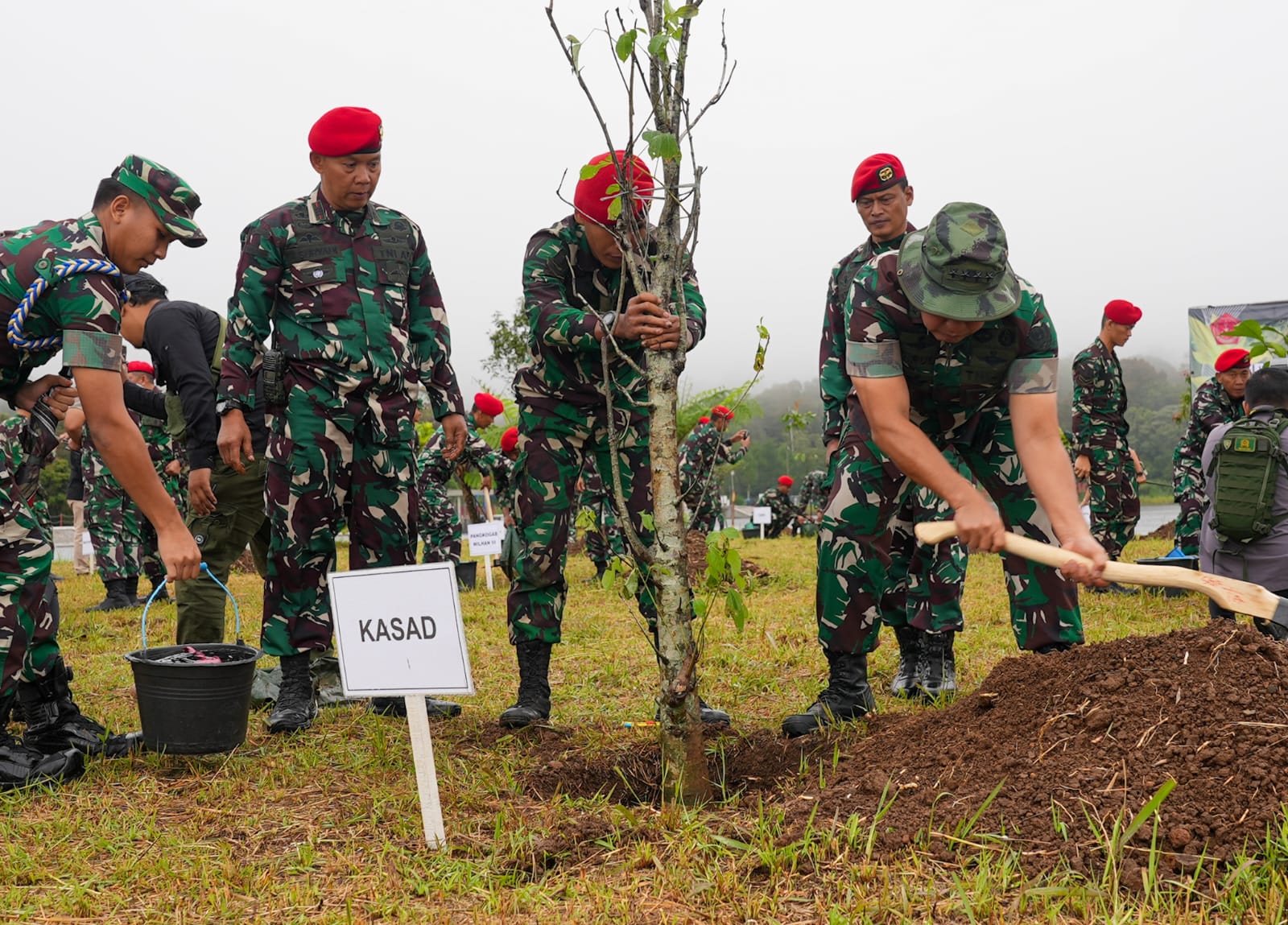 Tni