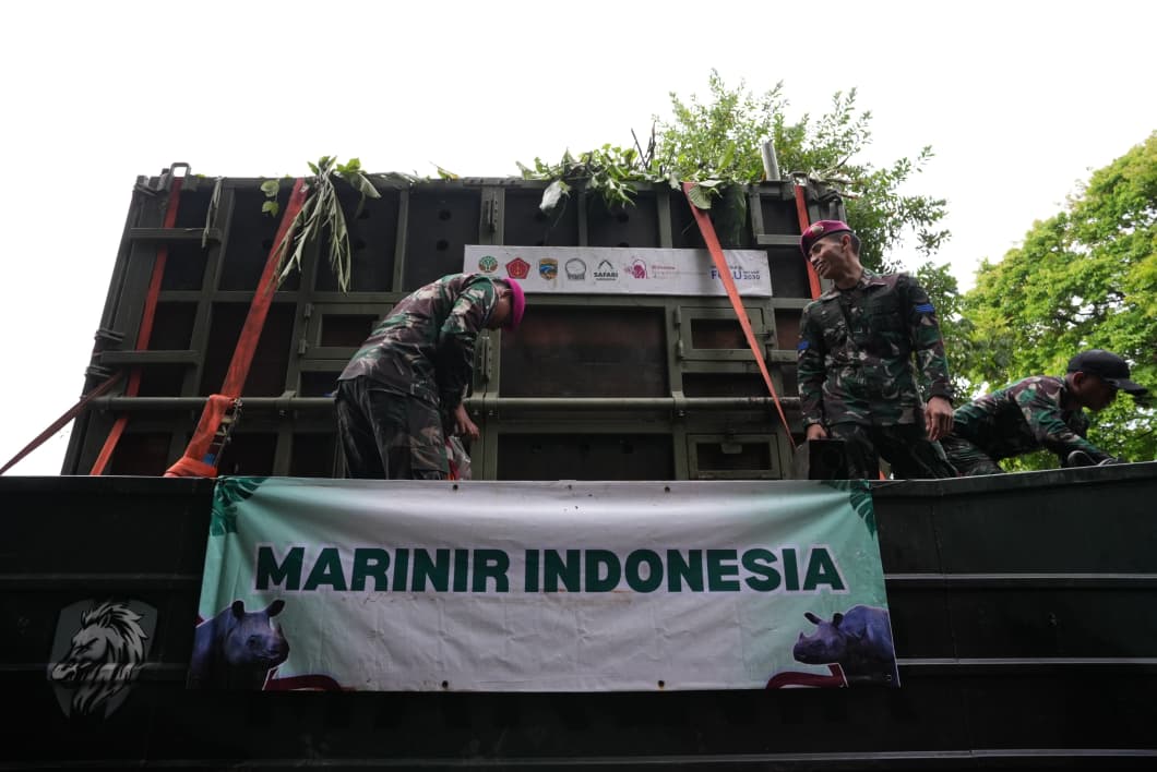 Tni
