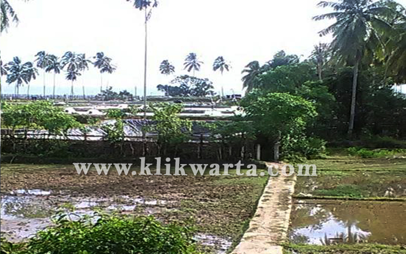 as