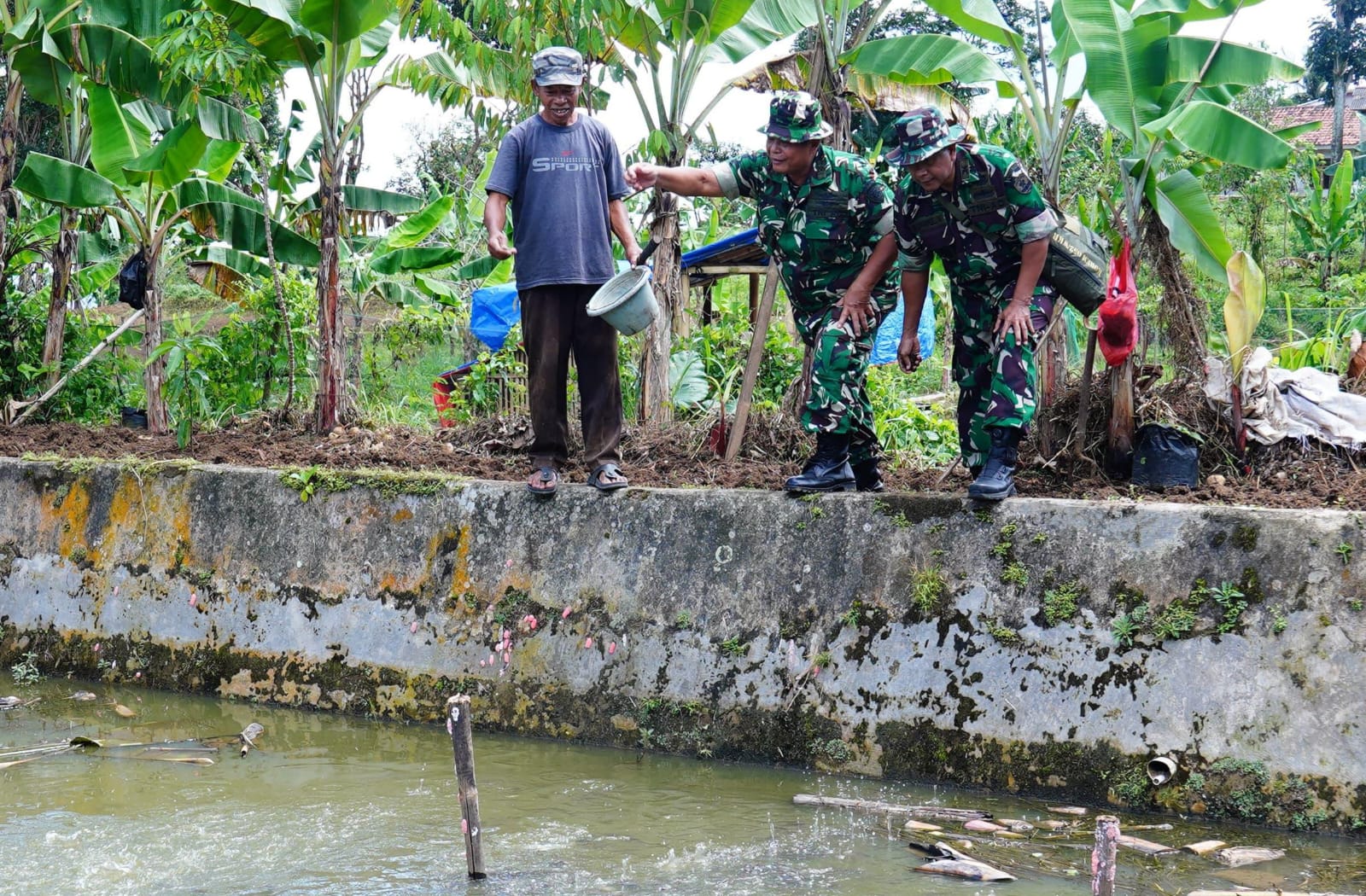 Tni