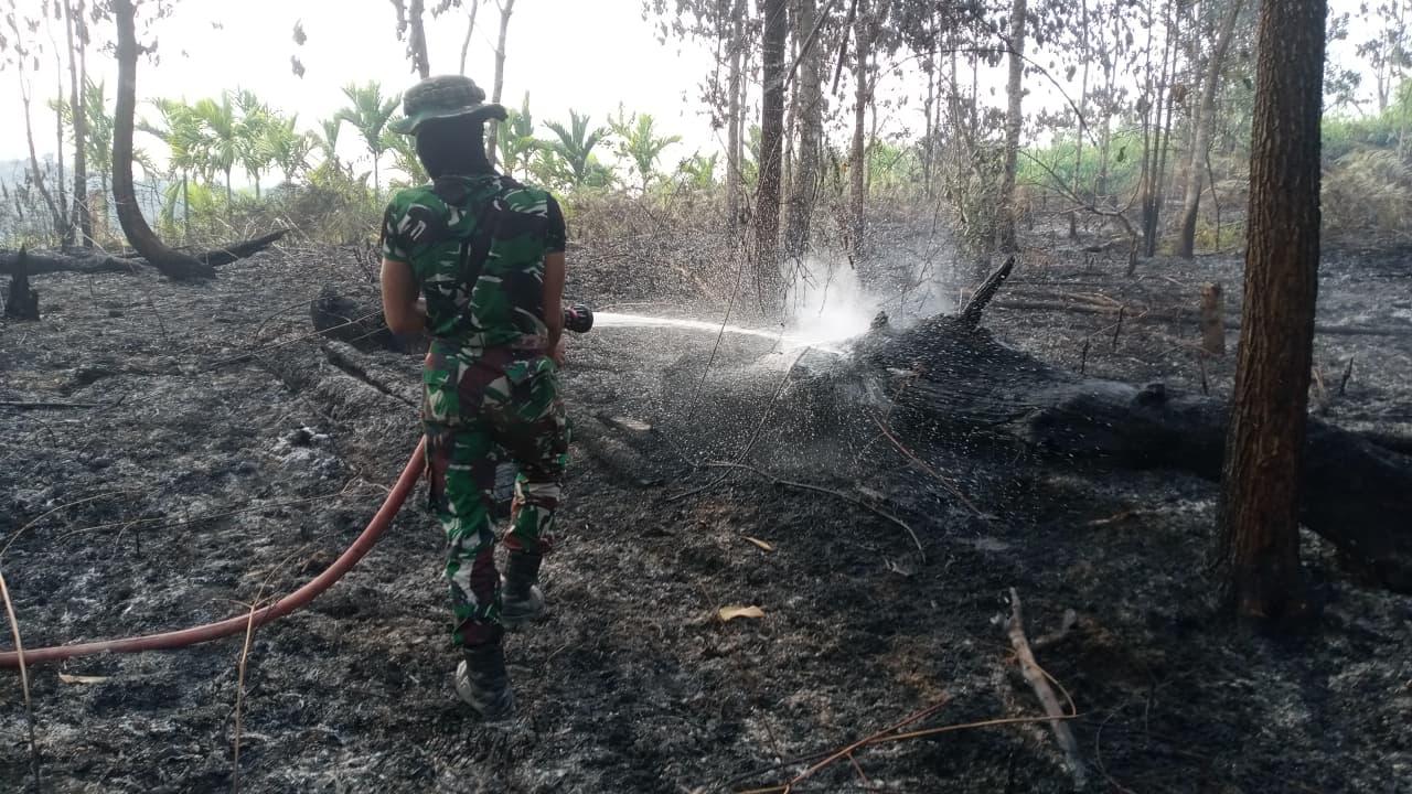 tni