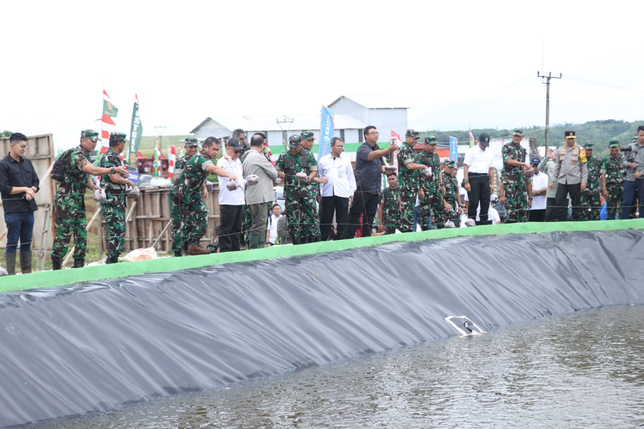 tni