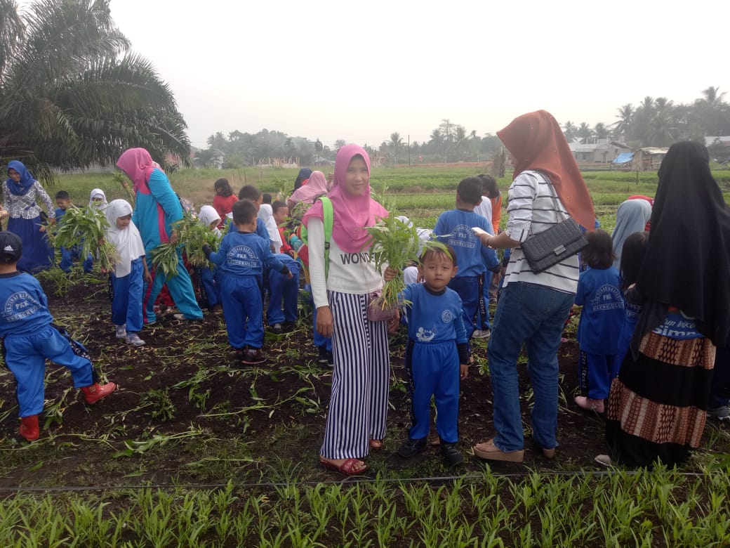 Kegiatan Panen Sayur Murid TK Tunas Harapan didampingi guru dan wali murid