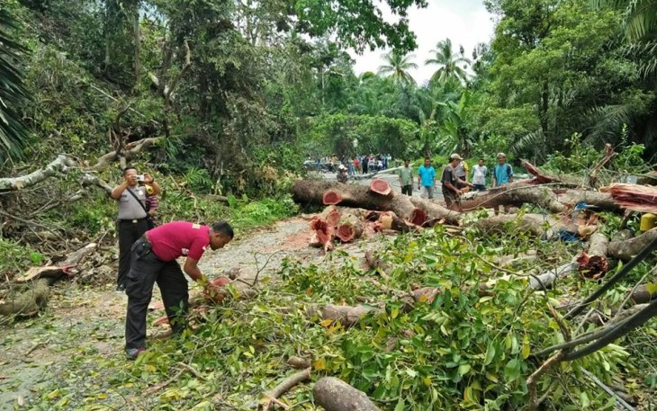 Warga sekitar bersama anggota Polsek Tanjung Kemuning saat ikut membersihkan seerpihan pohon tumbang