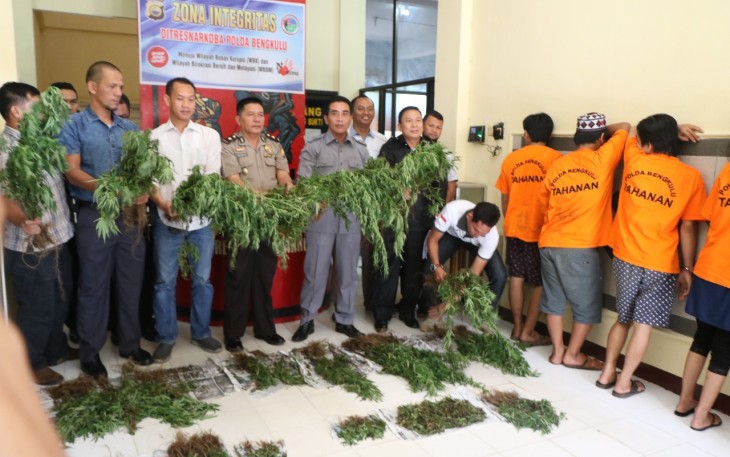 Direktorat reserse narkoba Polda Bengkulu saat press release tersangka dan barang bukti. Foto (tribratanewsbengkulu.com)
