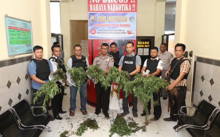 Press release pengungkapan ladang ganja seluas 1 hektar di Rejang Lebong