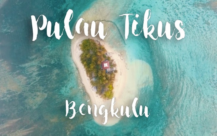 Pulau Tikus