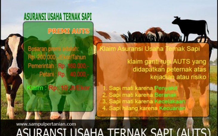 Foro : MC Bengkulu Selatan 