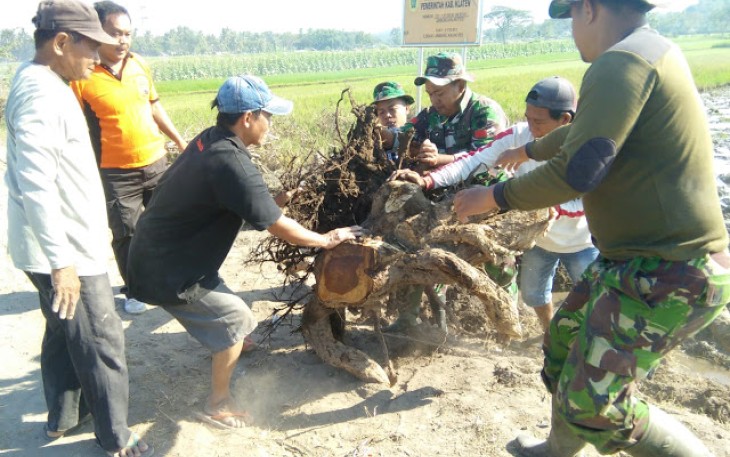Kiprah TNI Polri dan Warga Pada TMMD Reg 105 Kodim Klaten