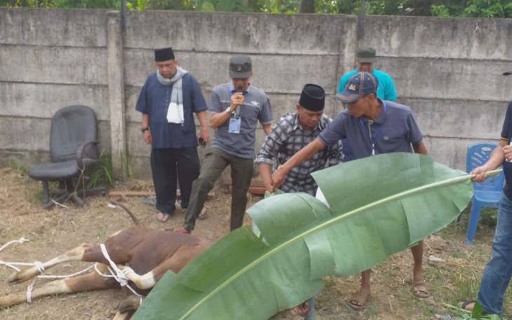 Ribuan Kupon Qurban Bank Jambi Dibagikan ke Fakir Miskin