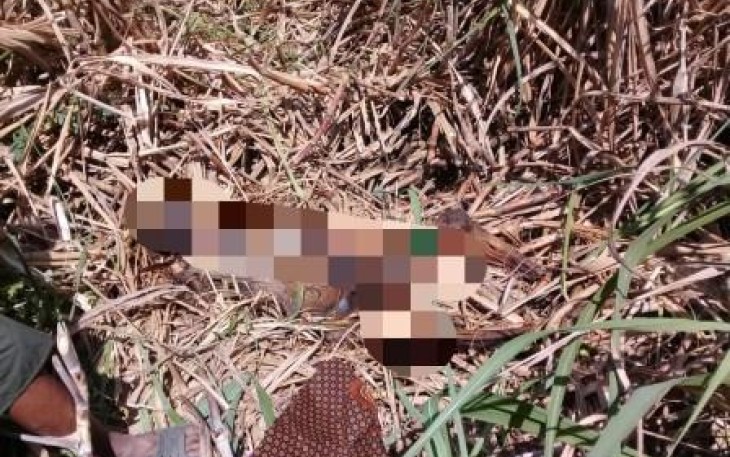 Sesosok mayat diketemukan di Perkebunan Tebu
