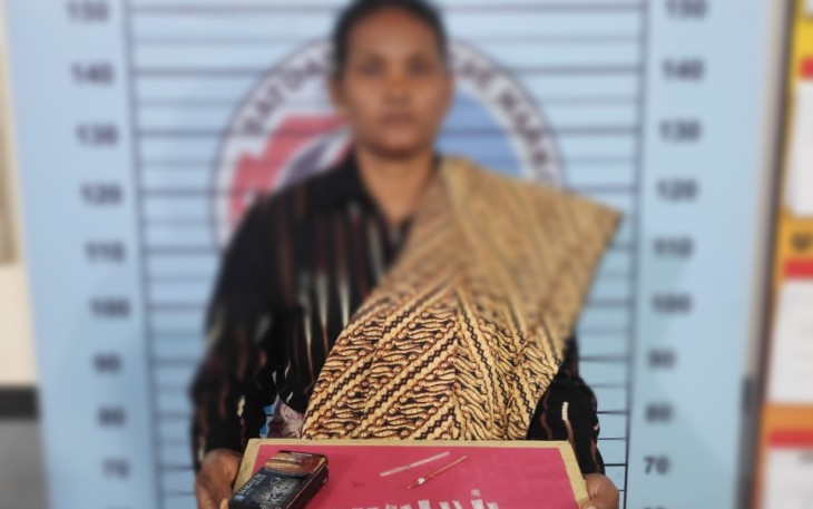 Pelaku usai Dibekuk Polisi