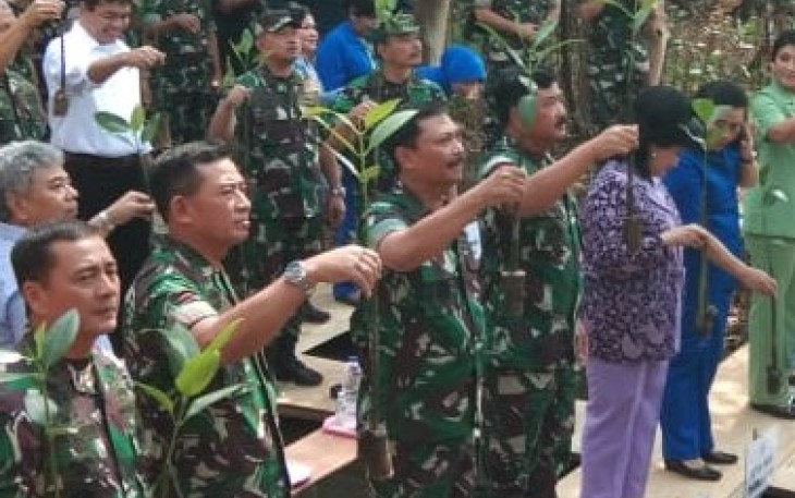 Panglima TNI bersama Danrem 052/WKR serta jajaran tanam Mangrove