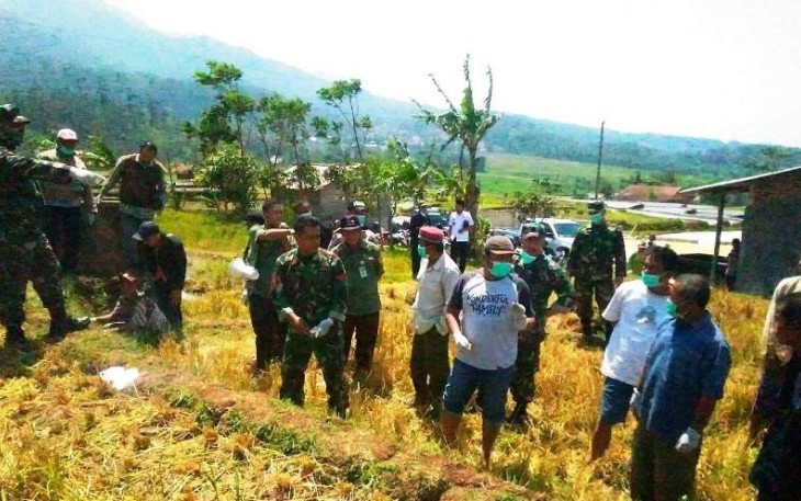 Bati Tuud Koramil 11 Kodim 0713 Brebes Sarankan Gunakan Rodentisida Sesuai Takaran