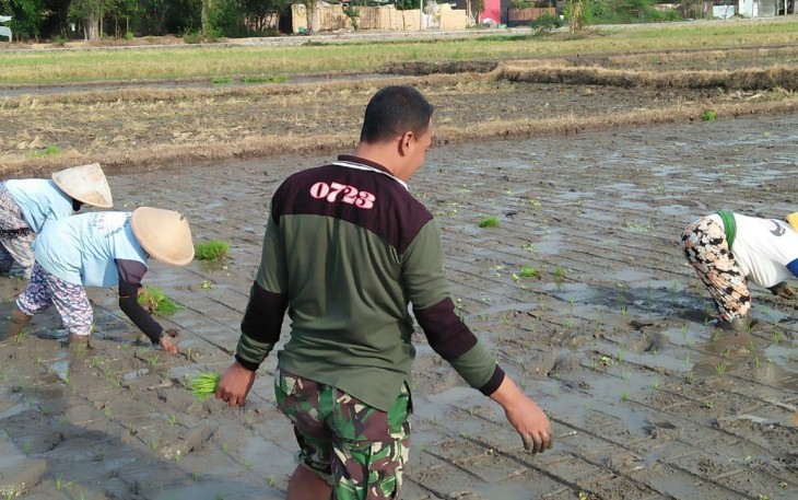 Serda Agus T Bantu Petani Turun Kesawah 