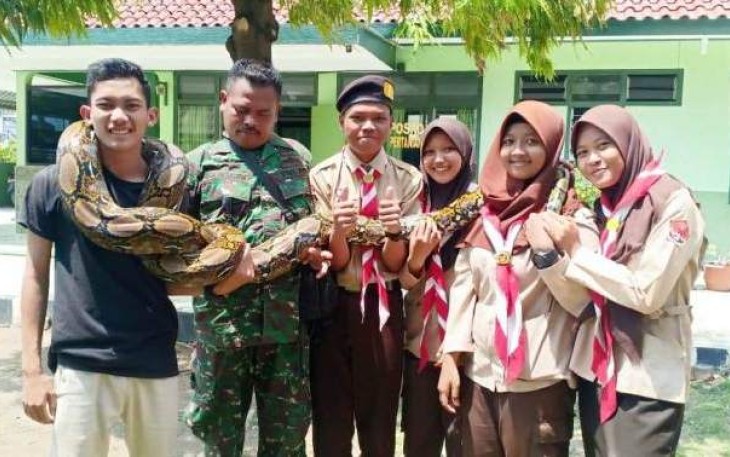 Pramuka Saka Wira Kartika Brebes Pelajari Berbagai Tips Menangkap Ular Berbisa