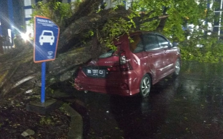 Pohon tumbang menimpa mobil di parkiran RSHD Kota Bengkulu