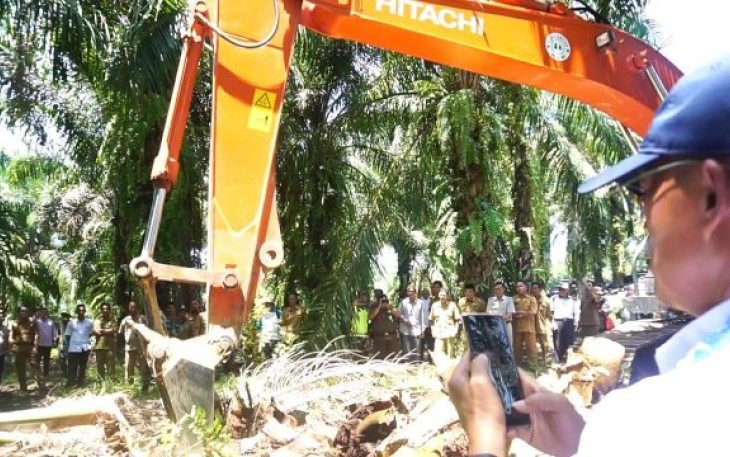 Bupati Bengkulu Selatan Gusnan Mulyadi Launcing Program Replanting Kelapa Sawit 