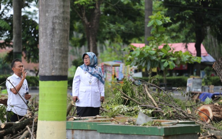 Bupati dan Sekda Tegal saat meninjau Pemotongan Pohon Trembesi di GOR Trisanja