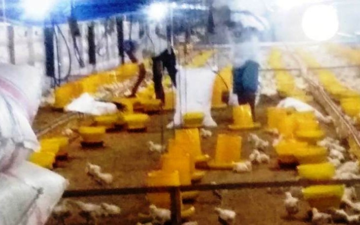 Penyuluhan Ternak Non Fisik TMMD Disambut Gembira Kades Pantirejo Pekalongan