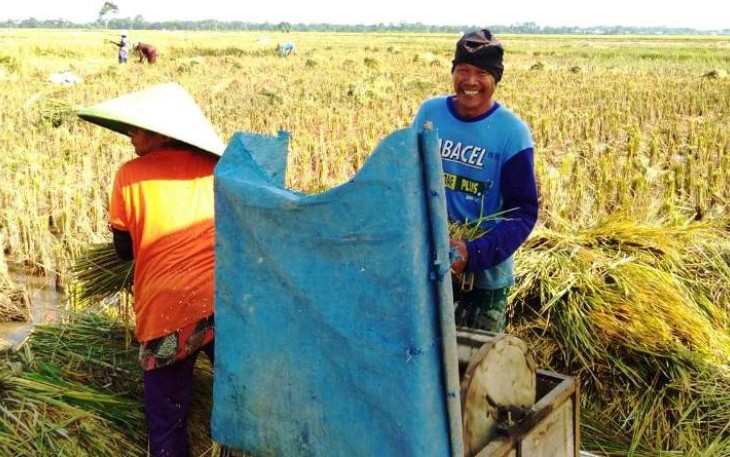 petani di Desa Pantirejo
