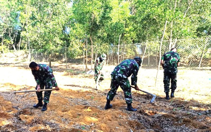 Kodim 0315/Bintan Tanam Jagung di Lahan Seluas 1 Hektar