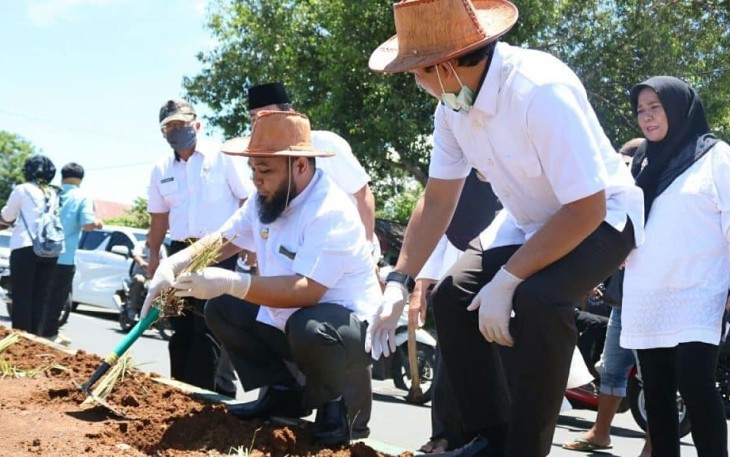 Wali Kota Bengkulu Helmi Hasan Ikut Tanam Serai di Median Jalan 