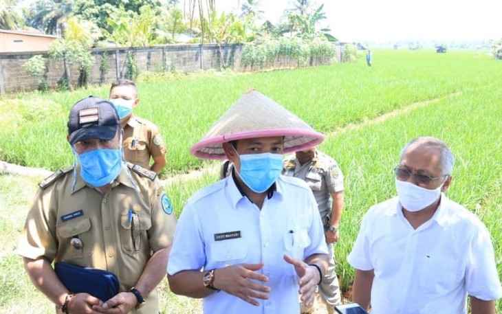 Wakil wali Kota Bengkulu Dedy Wahyudi  