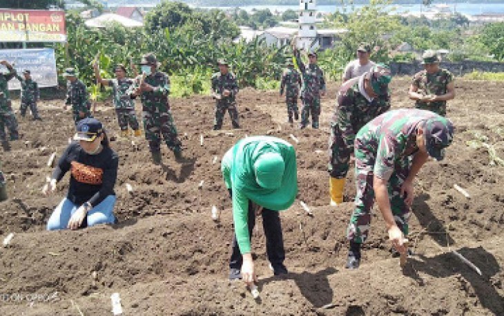 Kodim 1310/Bitung Ciptakan Demplot Hanpangan