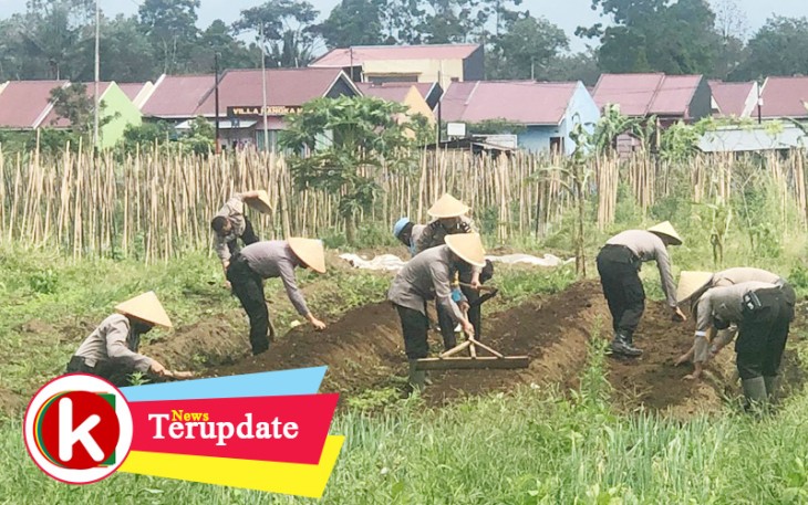 Aksi 3 Polres Jajaran Polda Bengkulu Ciptakan Ketahanan Pangan di Tengah Covid-19